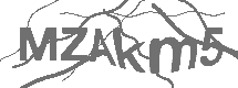 CAPTCHA Image
