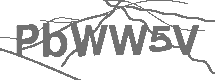 CAPTCHA Image