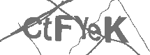 CAPTCHA Image