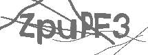 CAPTCHA Image