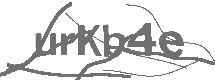 CAPTCHA Image
