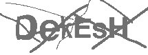 CAPTCHA Image