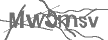 CAPTCHA Image