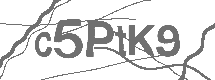 CAPTCHA Image