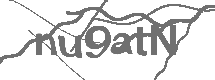CAPTCHA Image