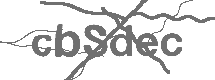 CAPTCHA Image
