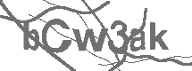 CAPTCHA Image