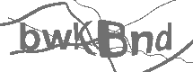 CAPTCHA Image