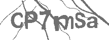 CAPTCHA Image