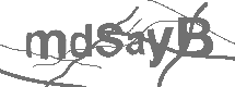 CAPTCHA Image