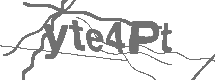 CAPTCHA Image