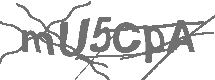 CAPTCHA Image