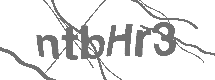 CAPTCHA Image
