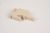 V6005400 HINGE, R DSP-AX8(G)