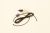 MS-622407 KABEL