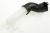 Posode ,primerno zaWD14G4J42W02 5208000000