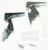 C00310966 481231018672 SCHARNIER-SET OBEN/UNTEN