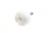 Noge ,primerno zaRT49MASW1XEF 5202300000