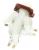 C00494080 481281729058 Magnetventil Universal 1V