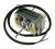 EA27 07.340.50C 91943681 MOTOR VENTILATORJA