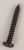 841666332 TORX-SCHRAUBE 2,9X19, INOX BRÜ