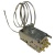 4296551700 C00904818 THERMOSTAT (GE,T229A189)