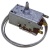 9002755500 C00944508 TERMOSTAT