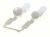 C00373803 481241029582 DRUCKTASTE LºSCHEN