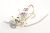 SS8030002557 Verteiler