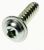 37018076 SCREW 8X30 RTSB