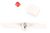 133.0599.621 Kit Lichttaste+Schalter Geschwindigkeit+Gem.Quad.