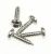 4055223293 SET,SCREW,COVER PANEL,4X, STEA