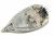 CS-00135815 PODPLAT LIKALNIKA