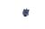 943643102400S Buchse Phone Mono
