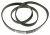 2466300202 C00869879 ELASTIC POLY-V BELT ASSY