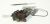 Termostati ,primerno zaTESTRONICGH455GASSTANDHERD50CM 4820000000