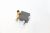 500980001 ELECTROVANNE GC 1/8 PG6 DN2